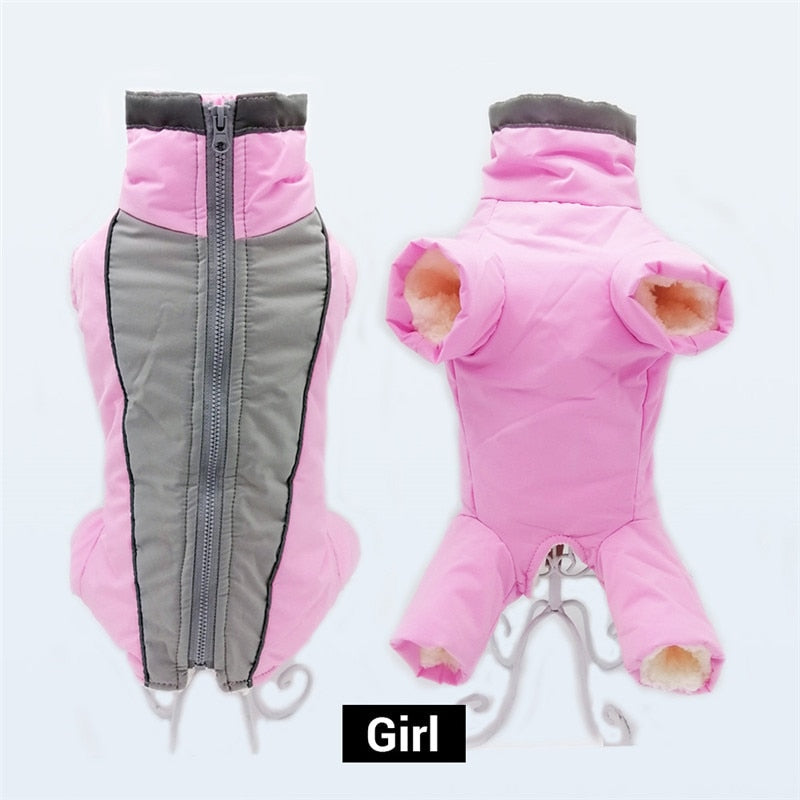 Winter Dog Overalls for Warm, Dry, Safer Winter Walks