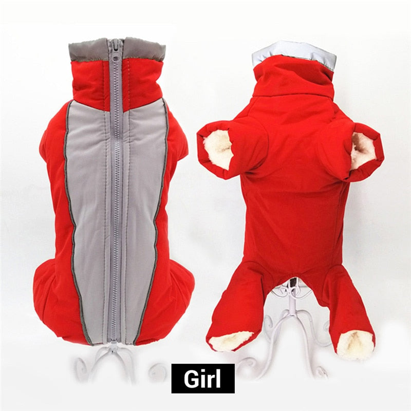 Winter Dog Overalls for Warm, Dry, Safer Winter Walks