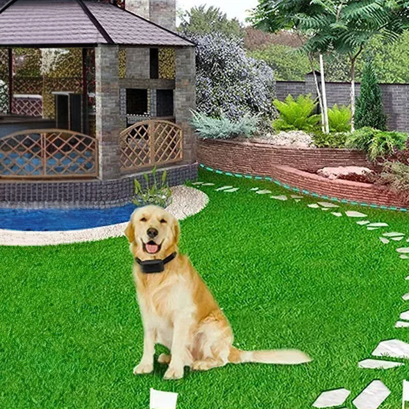 Invisible Dog Fence System With 984 Ft Boundary Wire