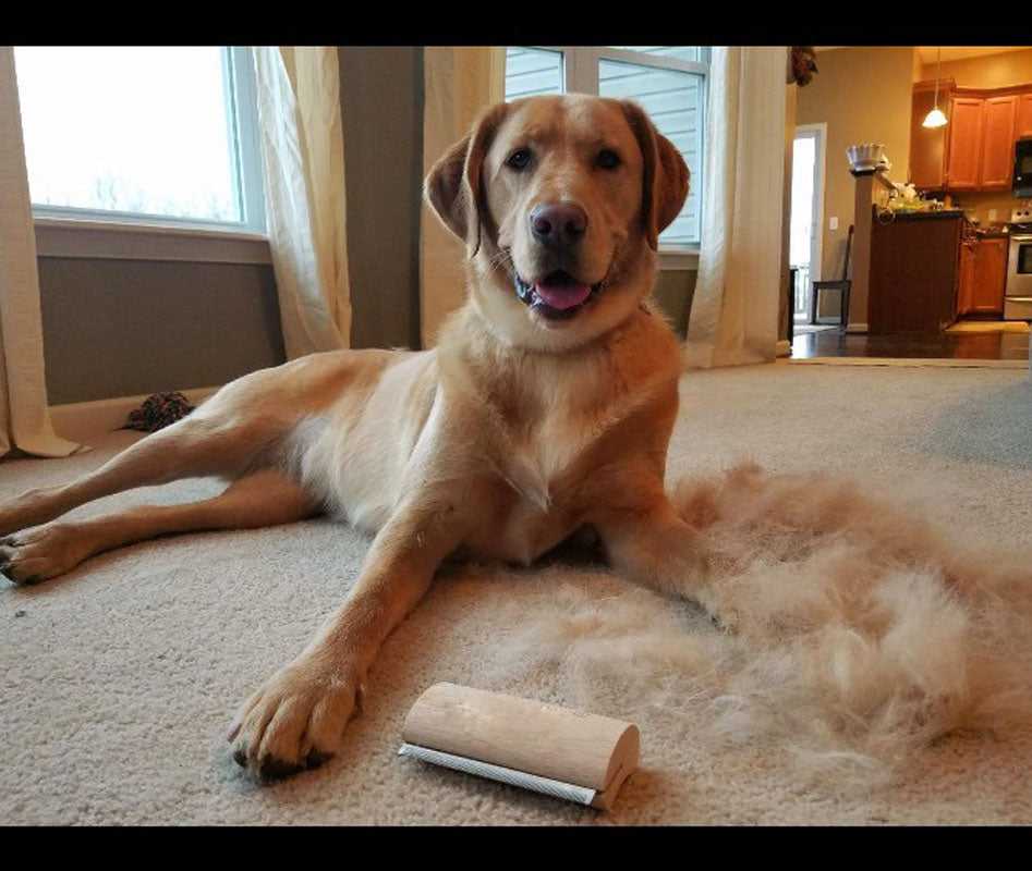 Wood Deshedding Grooming Brush for Less Pet Fur at Home