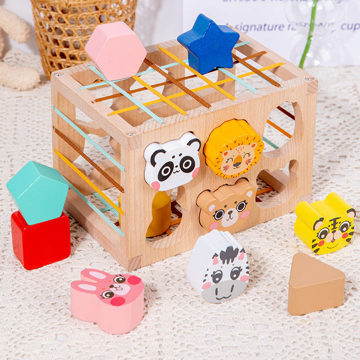 Wooden Shape Matching Toy for Early Learning Skills