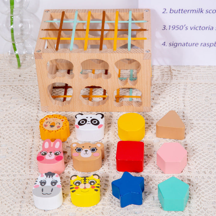 Wooden Shape Matching Toy for Early Learning Skills