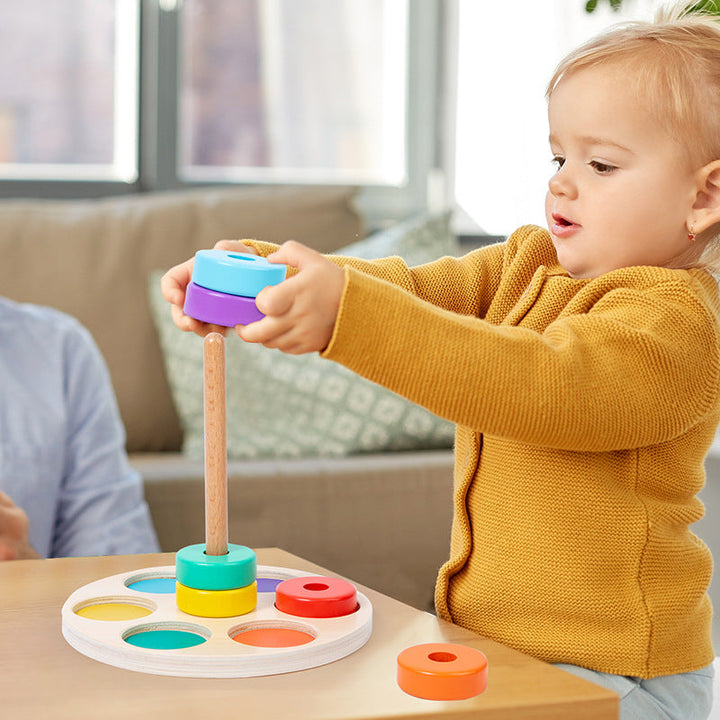 Wooden Color Sorting Toy for Toddler Fine Motor Play