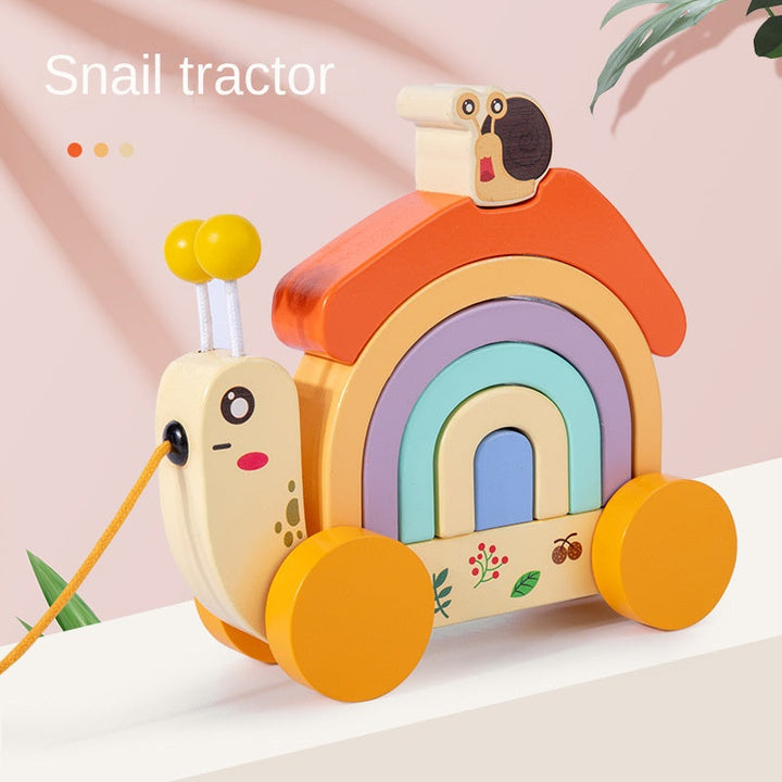 Wooden Rainbow Pull-Along Toy for Color Matching