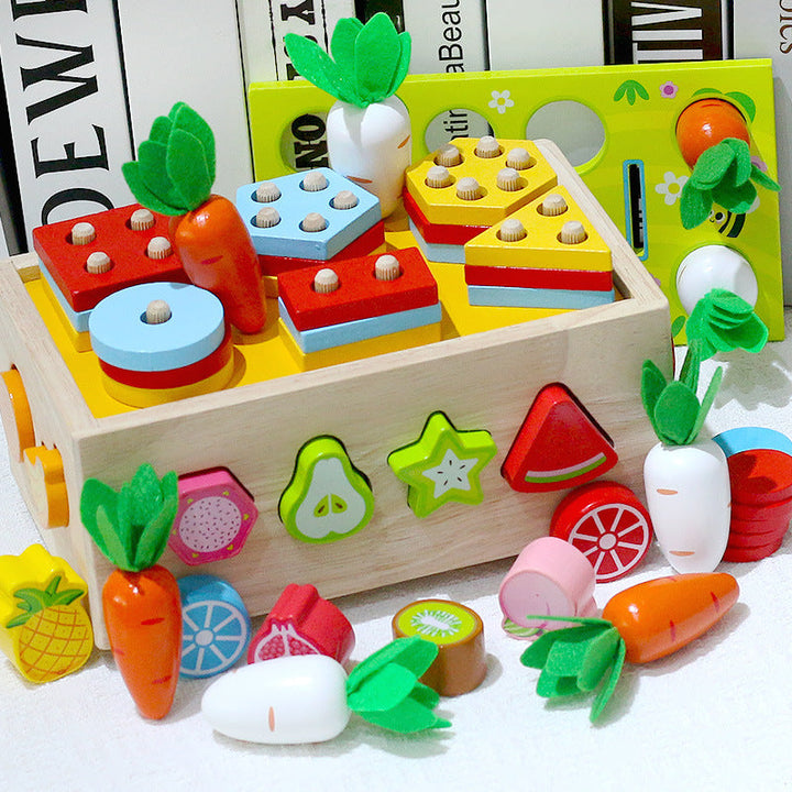 Wooden Shape Matching Toy for Fine Motor Skills Play