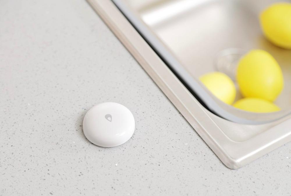 Smart Water Leak Detector: Early Flood Alerts at Home