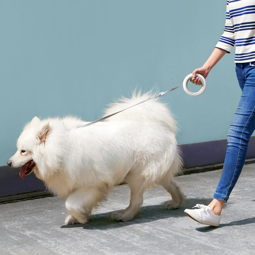 Smart Retractable Dog Leash With LED Light for Walks
