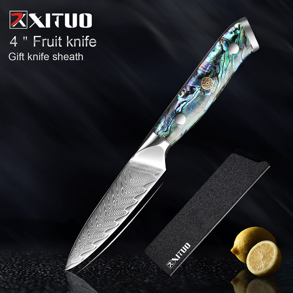 Damascus Steel Knife Set with Abalone Shell Handles