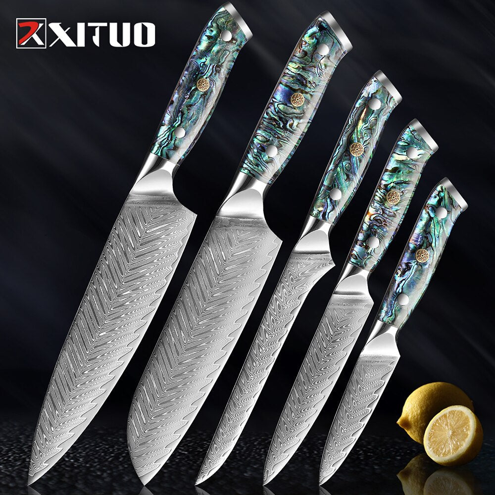 Damascus Steel Knife Set with Abalone Shell Handles
