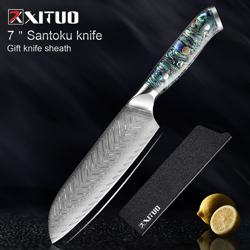Damascus Steel Knife Set with Abalone Shell Handles