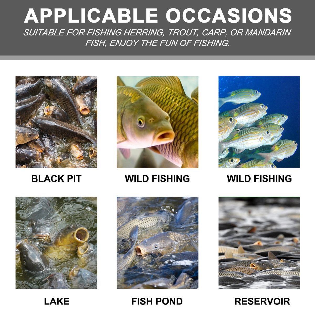 Corn Fish Bait for Portable Freshwater Fishing Trips