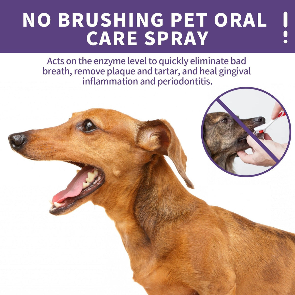 Pet Teeth Cleaning Spray for Fresher Breath & Gums
