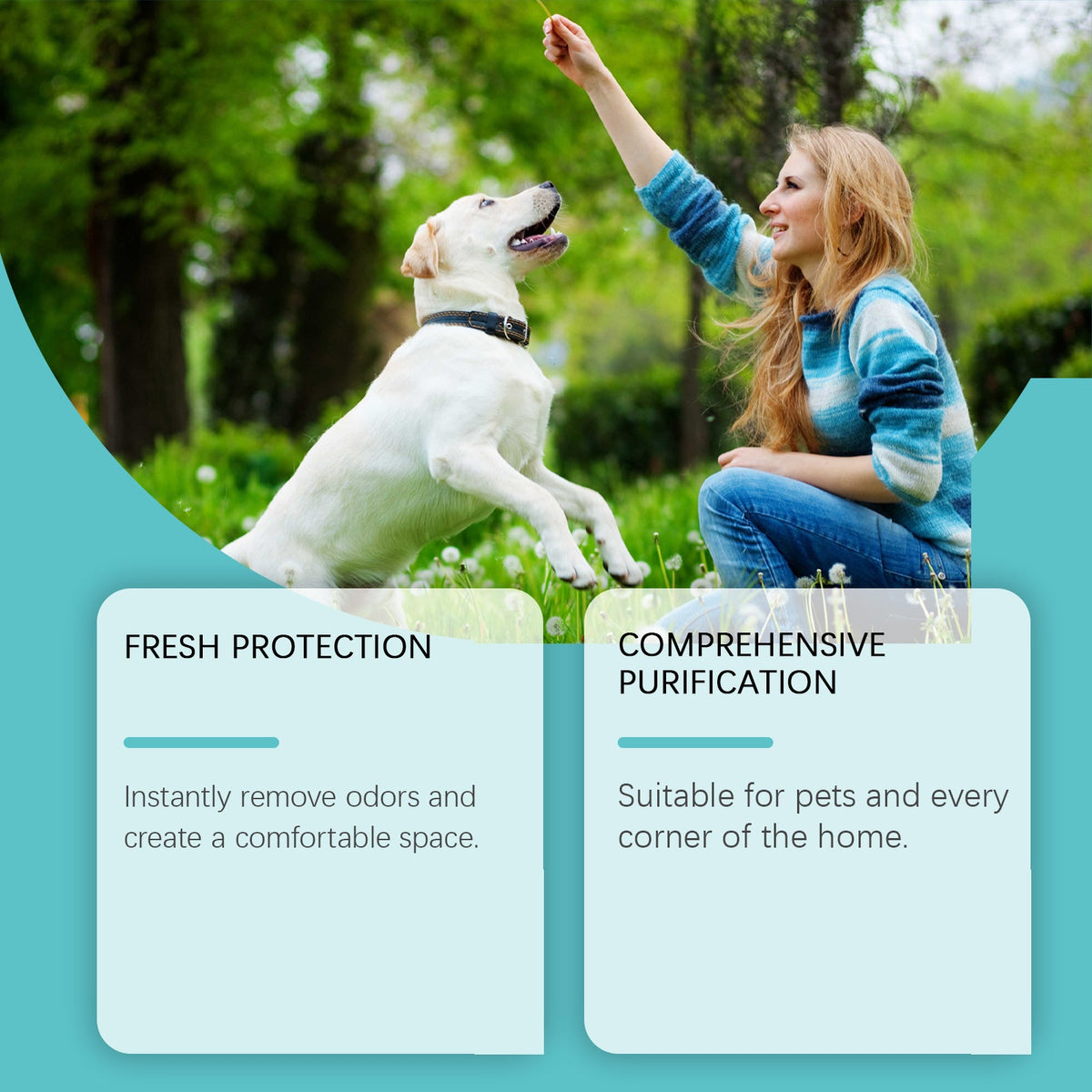 Pet Deodorant Spray for Fresh, Odor-Free Home Spaces