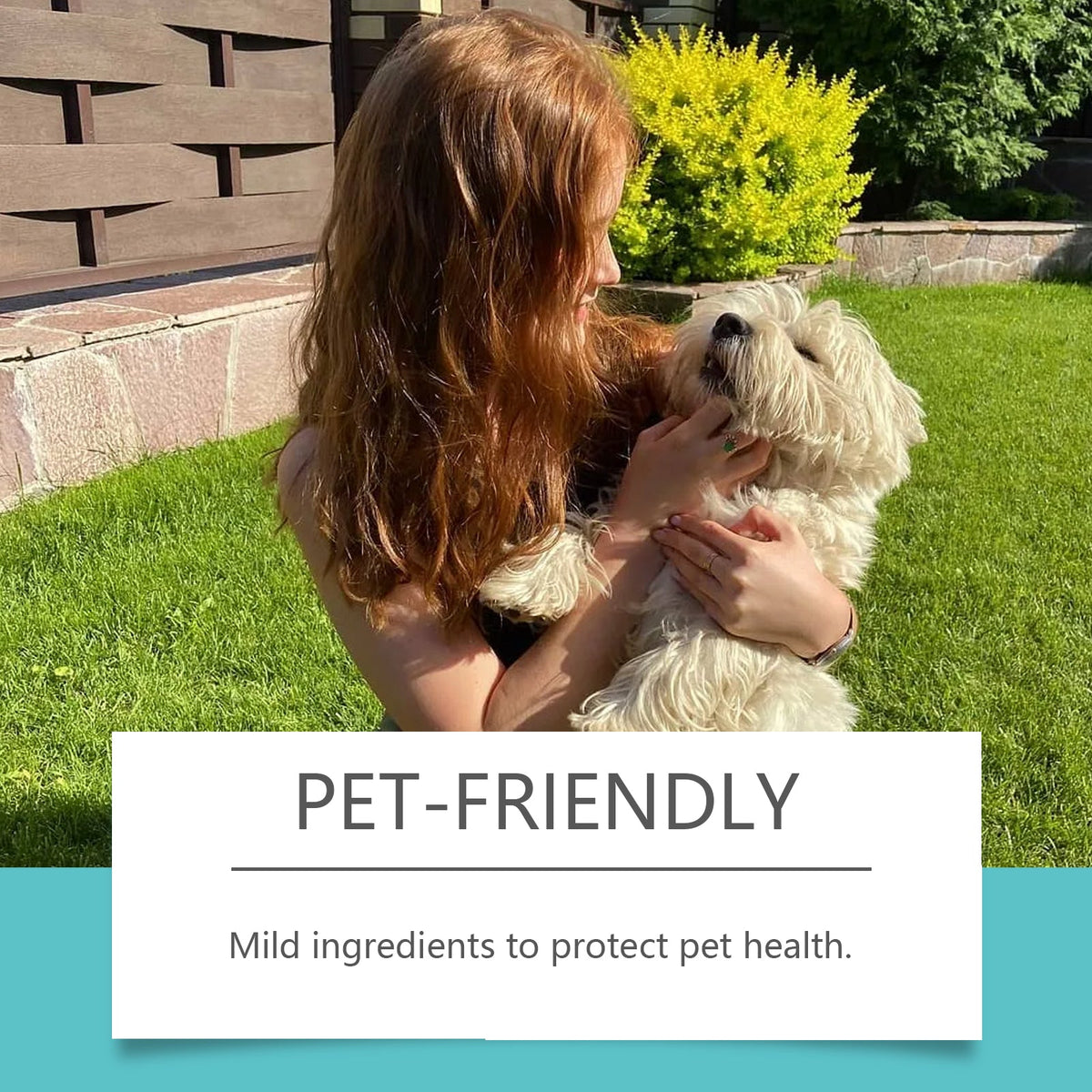 Pet Deodorant Spray for Fresh, Odor-Free Home Spaces