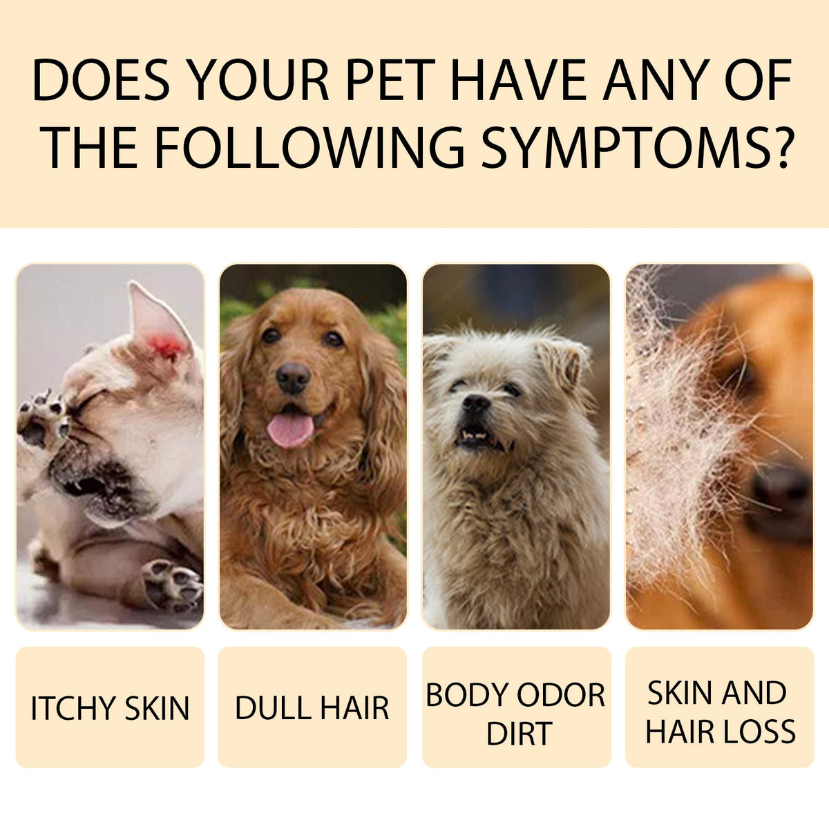 Gentle Pet Shampoo for Smooth, Shiny, Tangle-Free Fur