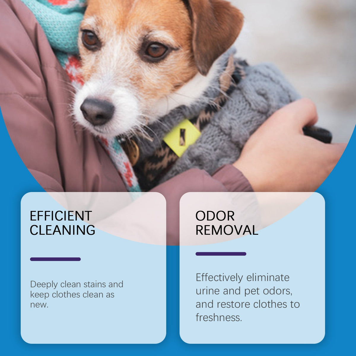 Pet Laundry Detergent — Fresher Clothes After Pet Messes