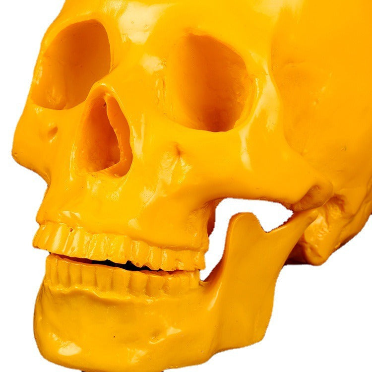 Yellow Resin Skull Ornament | Glossy Anatomical Decor