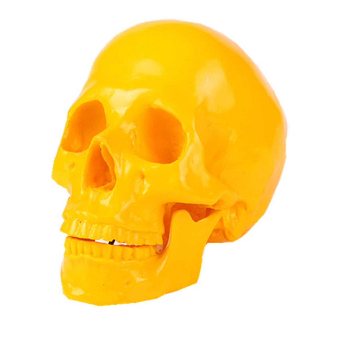 Yellow Resin Skull Ornament | Glossy Anatomical Decor